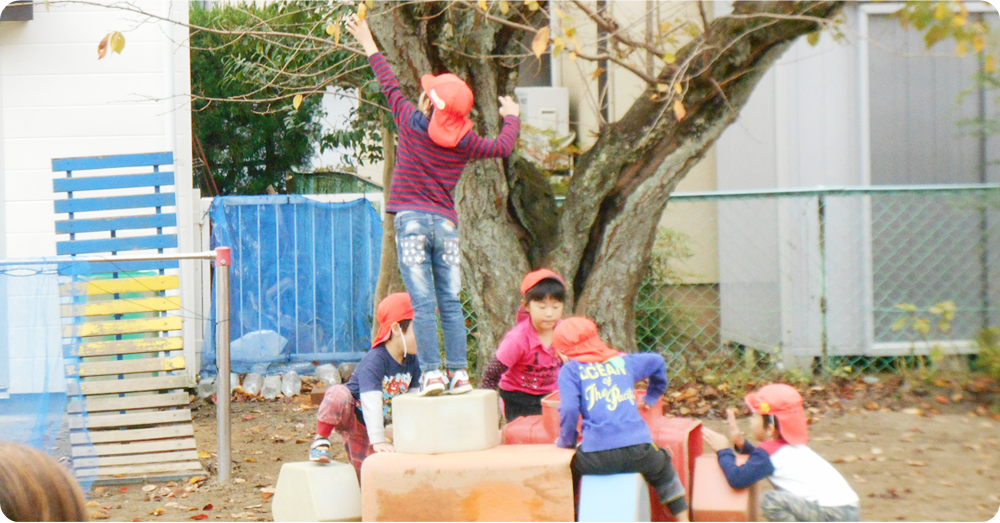 玉ノ江こども園｜福井市の認定こども園