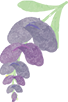 ふじぐみ